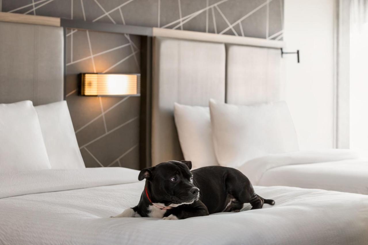 Springhill Suites By Marriott Camp Hill Экстерьер фото